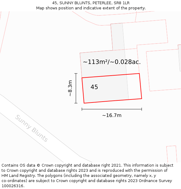 45, SUNNY BLUNTS, PETERLEE, SR8 1LR: Plot and title map