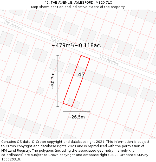 45, THE AVENUE, AYLESFORD, ME20 7LQ: Plot and title map