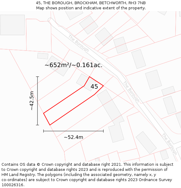 45, THE BOROUGH, BROCKHAM, BETCHWORTH, RH3 7NB: Plot and title map