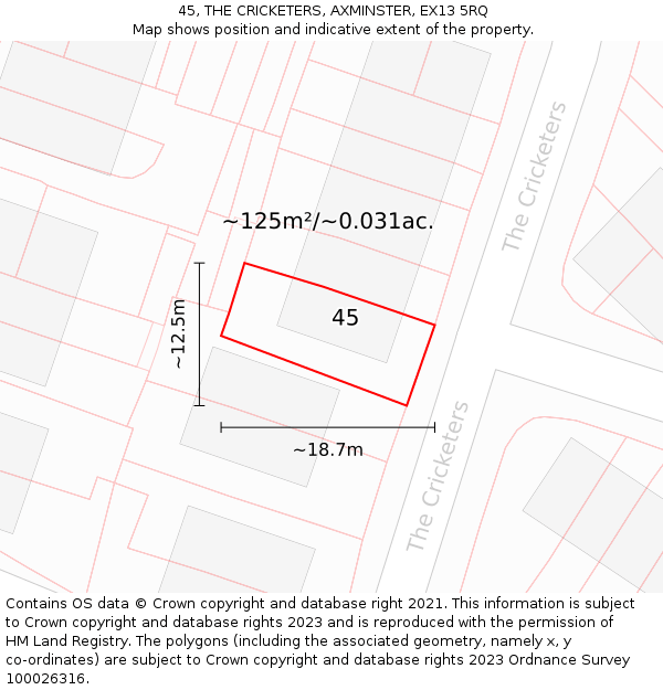 45, THE CRICKETERS, AXMINSTER, EX13 5RQ: Plot and title map