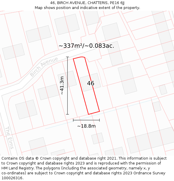 46, BIRCH AVENUE, CHATTERIS, PE16 6JJ: Plot and title map