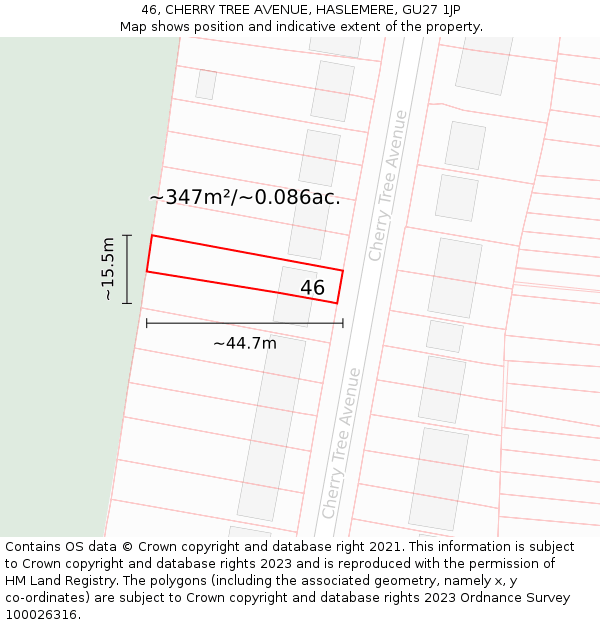 46, CHERRY TREE AVENUE, HASLEMERE, GU27 1JP: Plot and title map