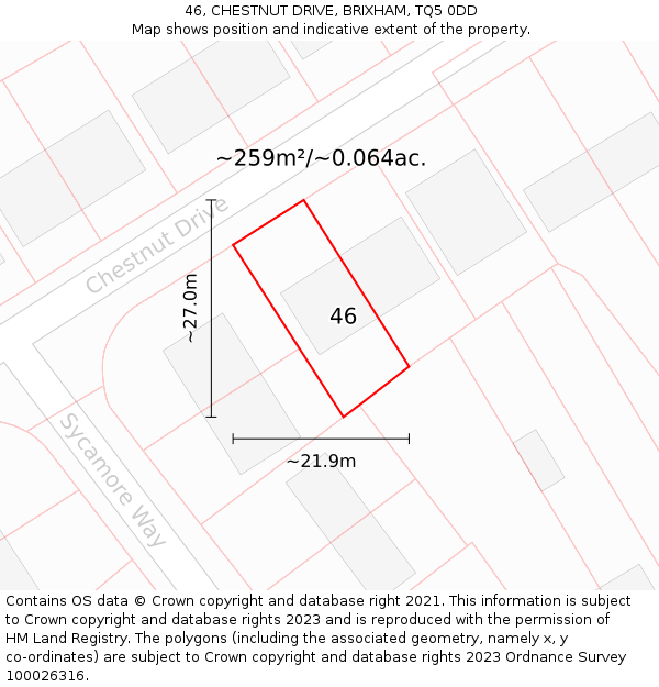 46, CHESTNUT DRIVE, BRIXHAM, TQ5 0DD: Plot and title map