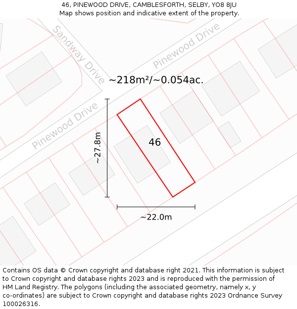 46, PINEWOOD DRIVE, CAMBLESFORTH, SELBY, YO8 8JU: Plot and title map