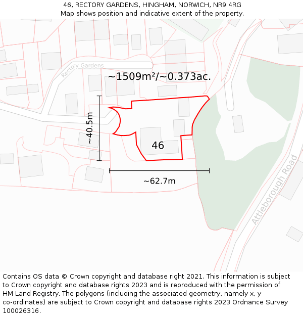 46, RECTORY GARDENS, HINGHAM, NORWICH, NR9 4RG: Plot and title map