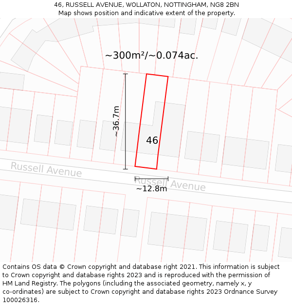 46, RUSSELL AVENUE, WOLLATON, NOTTINGHAM, NG8 2BN: Plot and title map