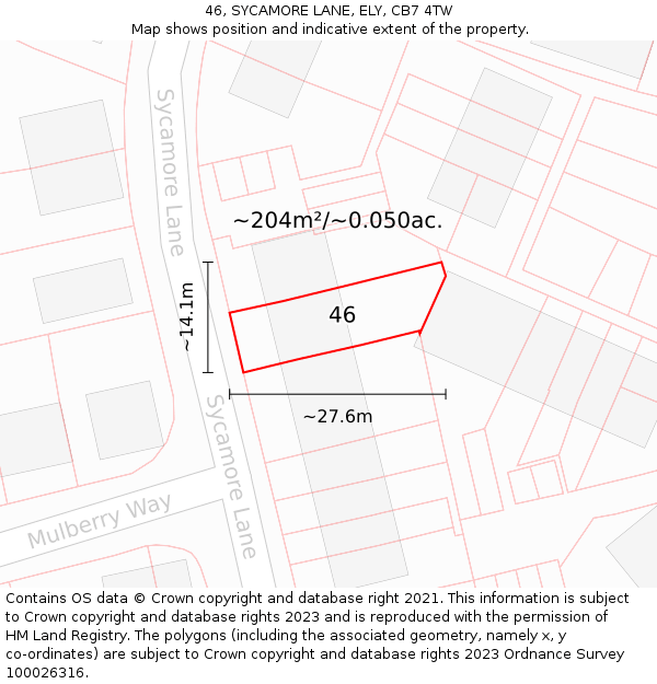 46, SYCAMORE LANE, ELY, CB7 4TW: Plot and title map