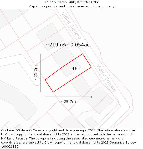 46, VIDLER SQUARE, RYE, TN31 7FP: Plot and title map