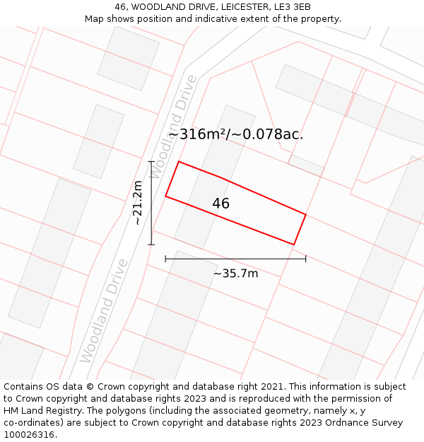 46, WOODLAND DRIVE, LEICESTER, LE3 3EB: Plot and title map