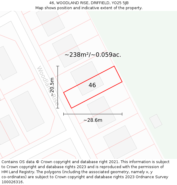 46, WOODLAND RISE, DRIFFIELD, YO25 5JB: Plot and title map