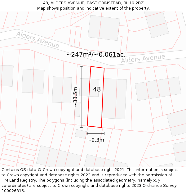 48, ALDERS AVENUE, EAST GRINSTEAD, RH19 2BZ: Plot and title map