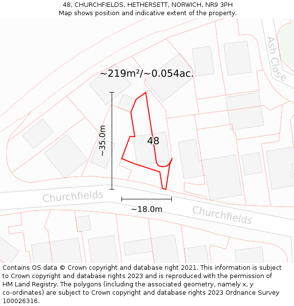 48, CHURCHFIELDS, HETHERSETT, NORWICH, NR9 3PH: Plot and title map