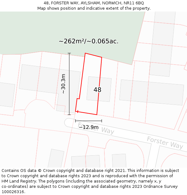48, FORSTER WAY, AYLSHAM, NORWICH, NR11 6BQ: Plot and title map