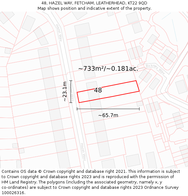 48, HAZEL WAY, FETCHAM, LEATHERHEAD, KT22 9QD: Plot and title map