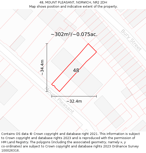 48, MOUNT PLEASANT, NORWICH, NR2 2DH: Plot and title map