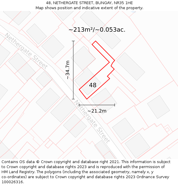 48, NETHERGATE STREET, BUNGAY, NR35 1HE: Plot and title map