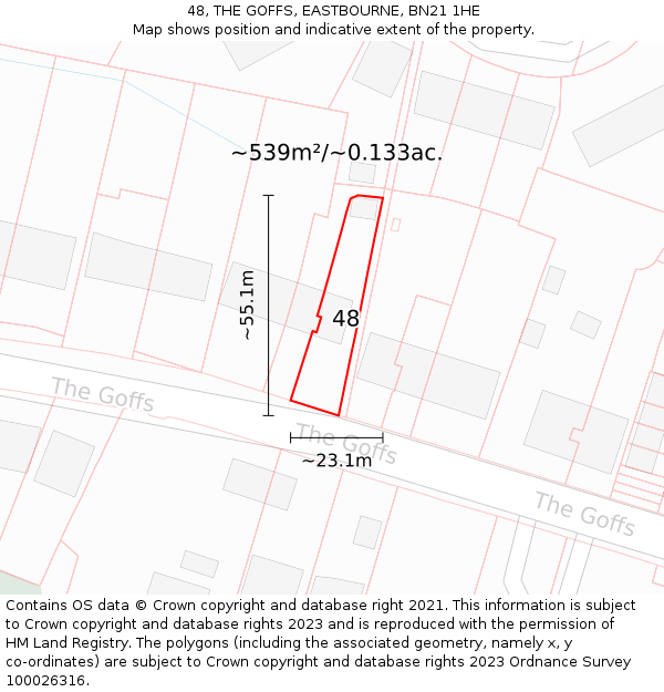 48, THE GOFFS, EASTBOURNE, BN21 1HE: Plot and title map