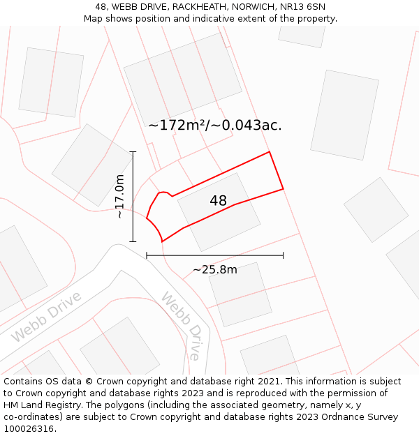48, WEBB DRIVE, RACKHEATH, NORWICH, NR13 6SN: Plot and title map