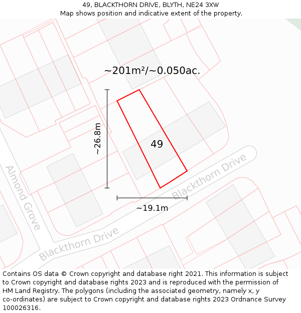 49, BLACKTHORN DRIVE, BLYTH, NE24 3XW: Plot and title map