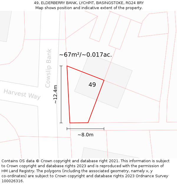 49, ELDERBERRY BANK, LYCHPIT, BASINGSTOKE, RG24 8RY: Plot and title map