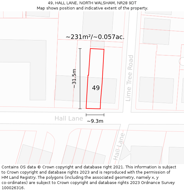 49, HALL LANE, NORTH WALSHAM, NR28 9DT: Plot and title map