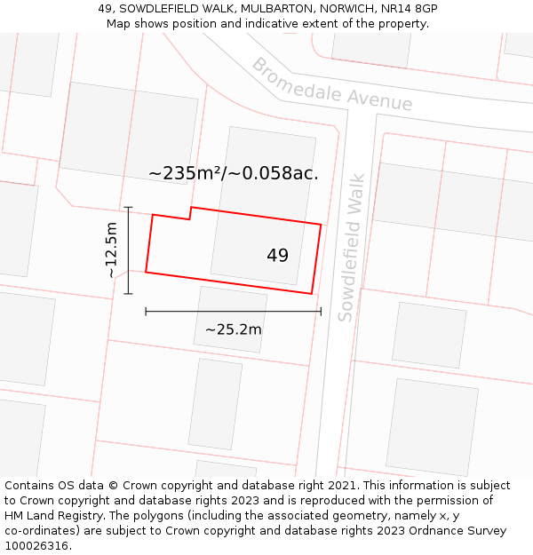 49, SOWDLEFIELD WALK, MULBARTON, NORWICH, NR14 8GP: Plot and title map