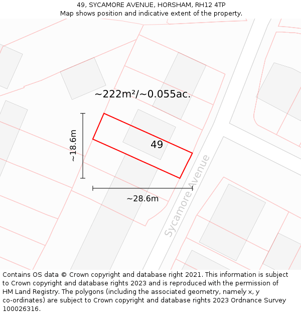 49, SYCAMORE AVENUE, HORSHAM, RH12 4TP: Plot and title map