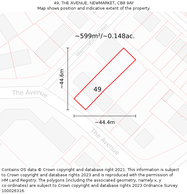 49, THE AVENUE, NEWMARKET, CB8 9AY: Plot and title map