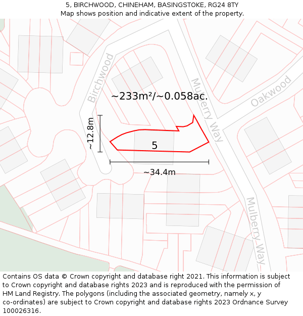 5, BIRCHWOOD, CHINEHAM, BASINGSTOKE, RG24 8TY: Plot and title map