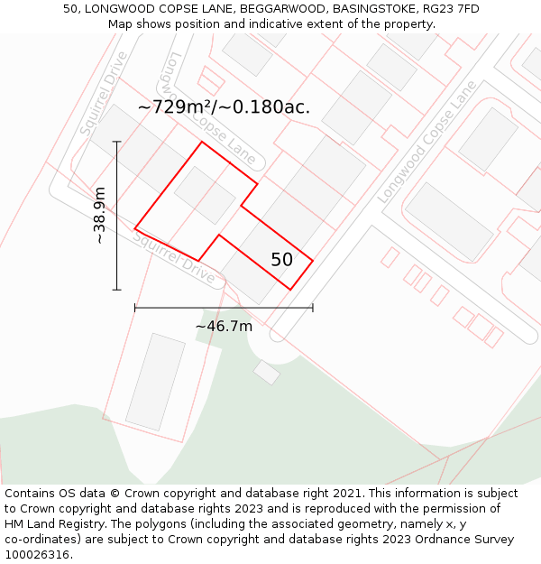50, LONGWOOD COPSE LANE, BEGGARWOOD, BASINGSTOKE, RG23 7FD: Plot and title map