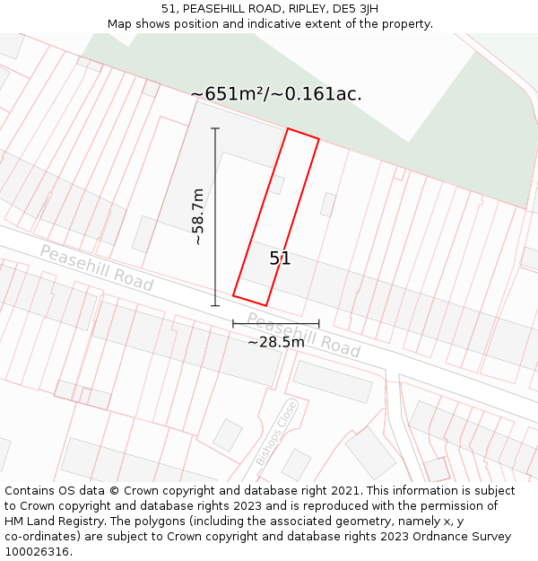 51, PEASEHILL ROAD, RIPLEY, DE5 3JH: Plot and title map