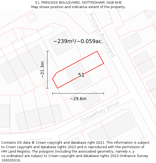 51, PRINCESS BOULEVARD, NOTTINGHAM, NG8 6HE: Plot and title map