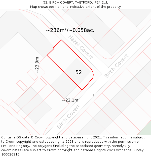 52, BIRCH COVERT, THETFORD, IP24 2UL: Plot and title map