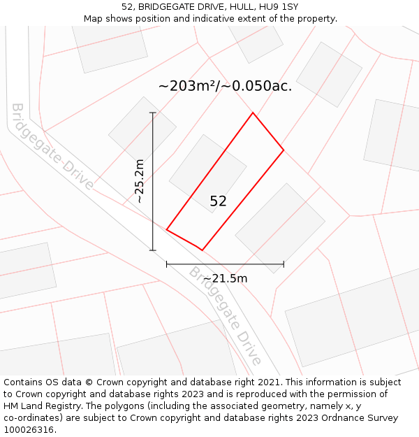 52, BRIDGEGATE DRIVE, HULL, HU9 1SY: Plot and title map
