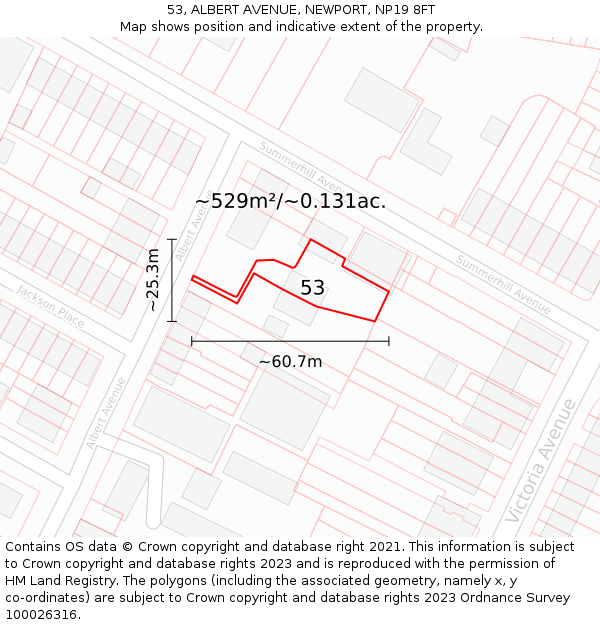 53, ALBERT AVENUE, NEWPORT, NP19 8FT: Plot and title map