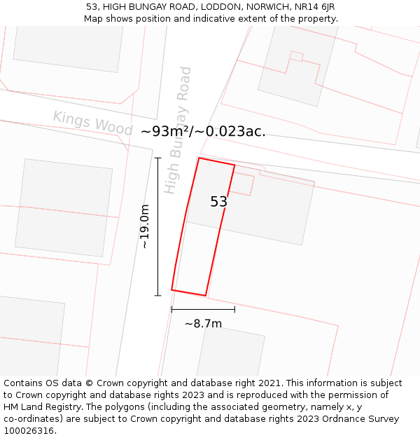 53, HIGH BUNGAY ROAD, LODDON, NORWICH, NR14 6JR: Plot and title map