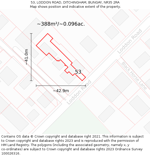53, LODDON ROAD, DITCHINGHAM, BUNGAY, NR35 2RA: Plot and title map