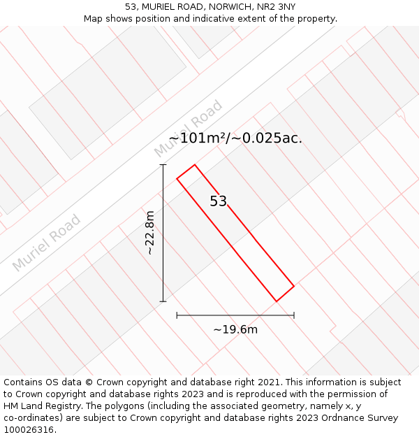 53, MURIEL ROAD, NORWICH, NR2 3NY: Plot and title map