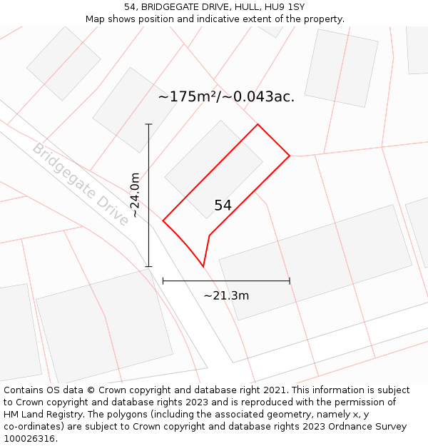 54, BRIDGEGATE DRIVE, HULL, HU9 1SY: Plot and title map