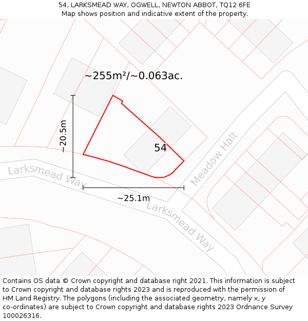 54, LARKSMEAD WAY, OGWELL, NEWTON ABBOT, TQ12 6FE: Plot and title map