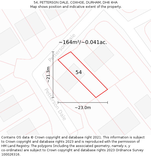 54, PETTERSON DALE, COXHOE, DURHAM, DH6 4HA: Plot and title map