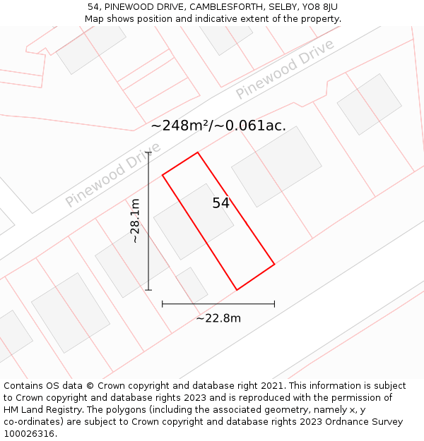 54, PINEWOOD DRIVE, CAMBLESFORTH, SELBY, YO8 8JU: Plot and title map