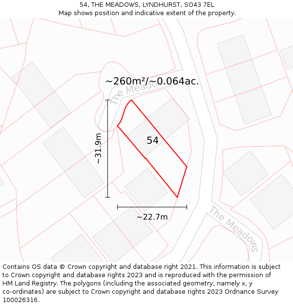 54, THE MEADOWS, LYNDHURST, SO43 7EL: Plot and title map