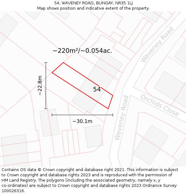 54, WAVENEY ROAD, BUNGAY, NR35 1LJ: Plot and title map