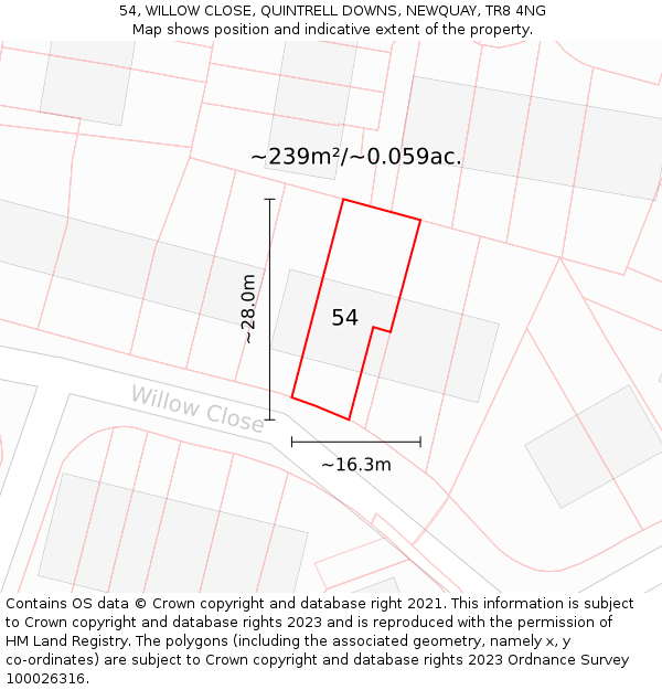 54, WILLOW CLOSE, QUINTRELL DOWNS, NEWQUAY, TR8 4NG: Plot and title map