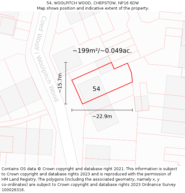 54, WOOLPITCH WOOD, CHEPSTOW, NP16 6DW: Plot and title map