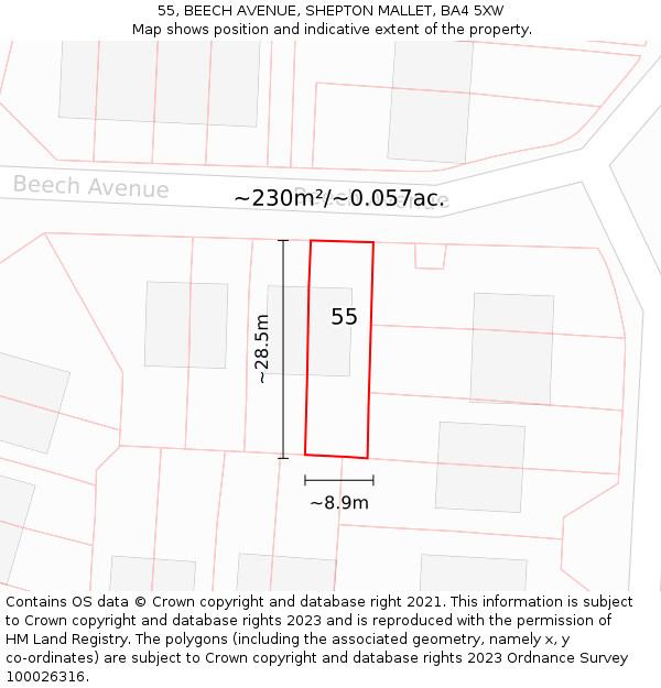 55, BEECH AVENUE, SHEPTON MALLET, BA4 5XW: Plot and title map