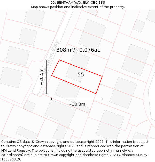 55, BENTHAM WAY, ELY, CB6 1BS: Plot and title map