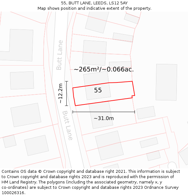 55, BUTT LANE, LEEDS, LS12 5AY: Plot and title map