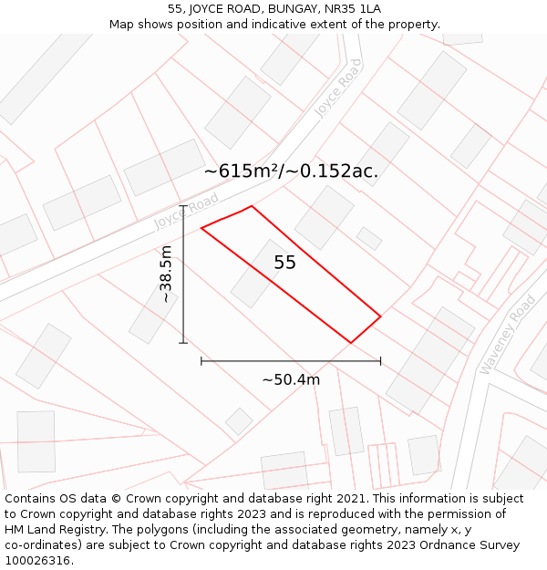 55, JOYCE ROAD, BUNGAY, NR35 1LA: Plot and title map